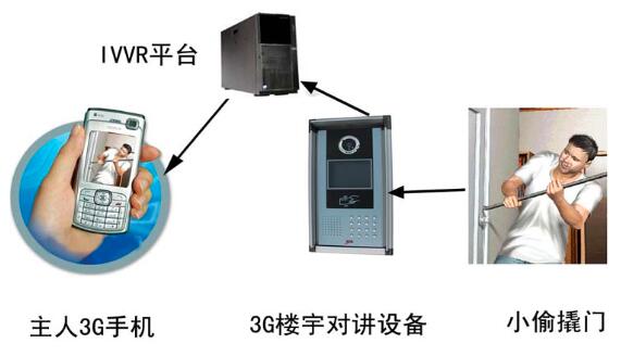 201.jpg